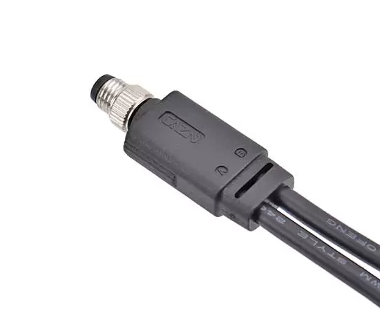 M8 남성 1 ~ 2 과다 곰팡이 플러그