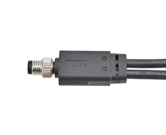 M8 남성 1 ~ 2 과다 곰팡이 플러그